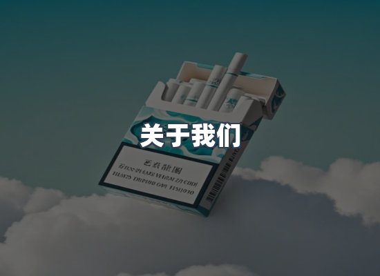 专业团队